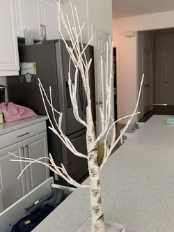 Mini Tree Branch