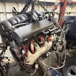 2018 Z 71 Motor