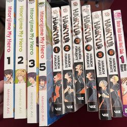 Anime Books and Figurine