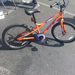 GT Aluminum siren bike