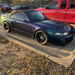 2004 Mustang Cobra