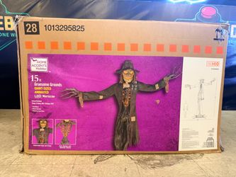 Home Accents Holiday 15 ft Animated LED Worricrow