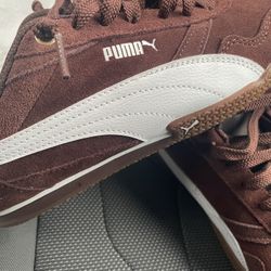 Pumas