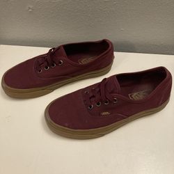 Vans Brand Skate Shoes