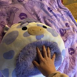 Squishmallow 