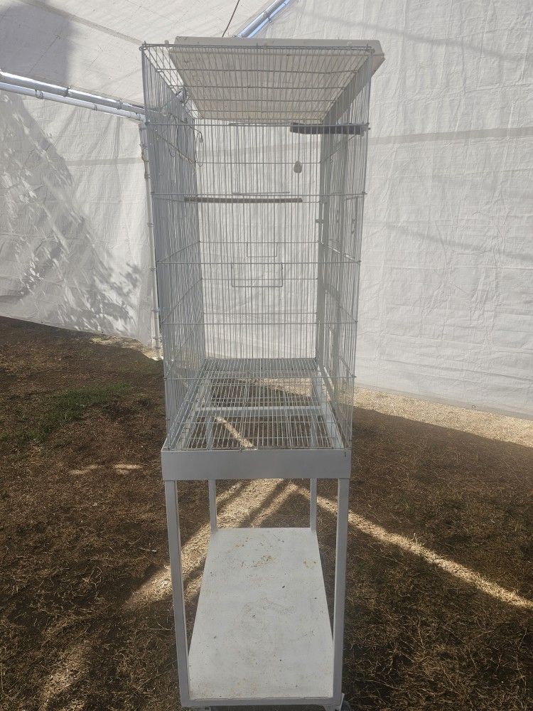 Bird Cage