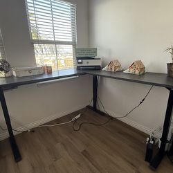 Stand up desk - friant