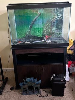 60 gallon, fish tank, withstand and filter