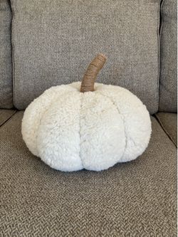Pottery Barn Cozy Pumpkin Plush