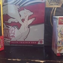 EBT/PRISMATIC/PIKA COLLECTION 