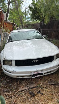 2007 Ford Mustang