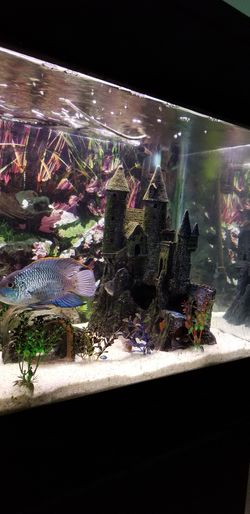Aquarium Big castle