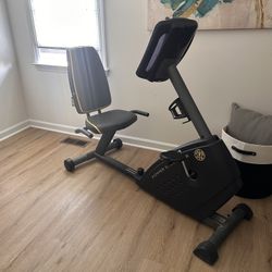 Gold’s Gym Recumbent Bike