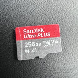 256 GB SD card