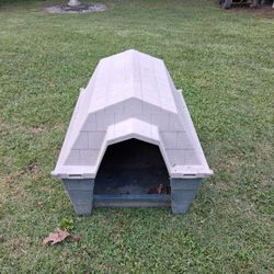 Dog House 
