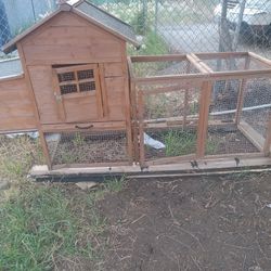 Chicken Coups House 40 