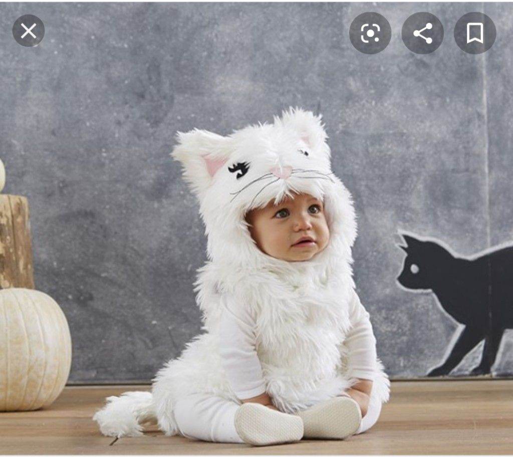 Pottery Barn Kids Cat Costume like new