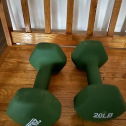 Dumbbell Set 20lbs