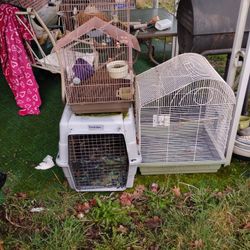Bird Cages