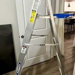 6 Ft. Werner Ladder