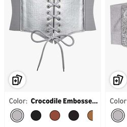 Silver Corset Belt