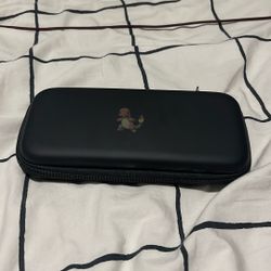 Nintendo case/cover