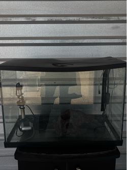 20 gallon rimless fish tank