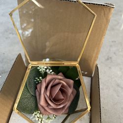 Geometric Glass Terrarium 