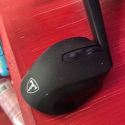 Mouse