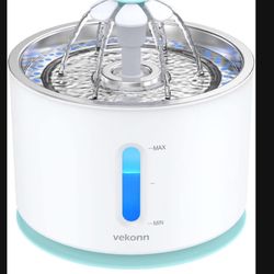 Water Fountain 