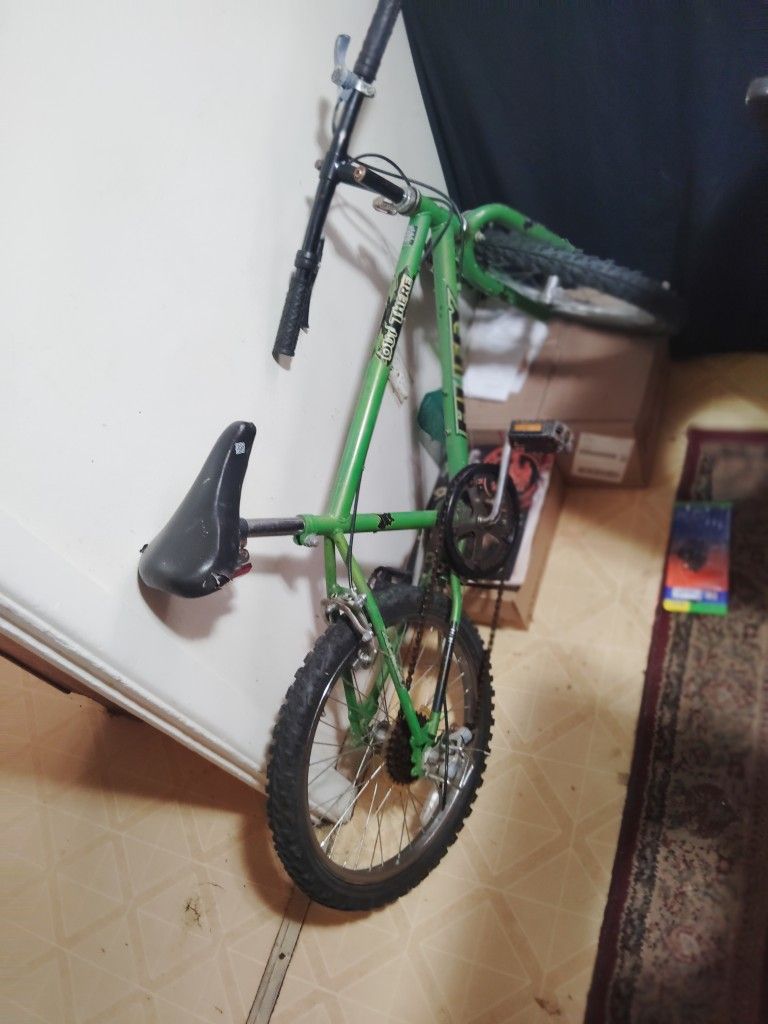 Mountain Bike