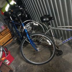 Citizen 1 Jamis 21 Speed