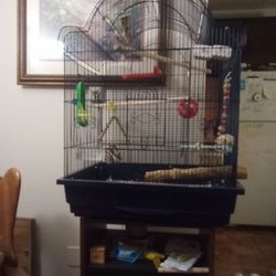 Big Bird Cage With All Kinds Of Toys Food ECT.