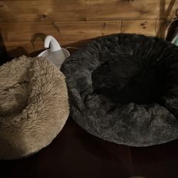 Dog beds