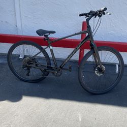 Giant Bike