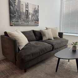 Living Spaces Couch ! 