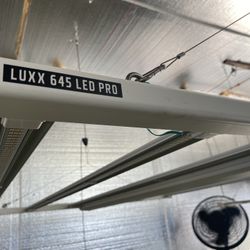 LED Luxx 645 Pro, Grow Lights 