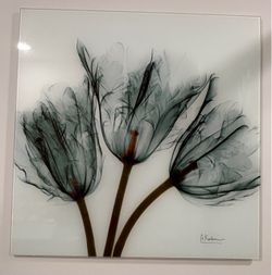 A. Koetsier X-Ray Tulips Glass Wall Art