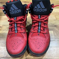 Derrick Rose Shoes Size 6