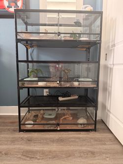 Reptile cage