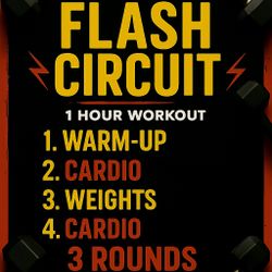 Flash Circuit