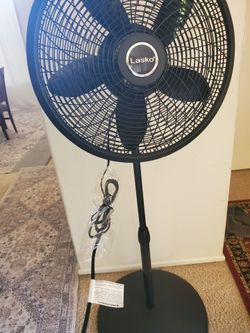 Fan