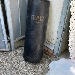 Everlast Punching Bag 