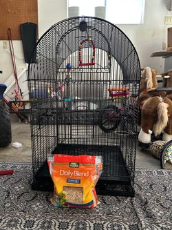 Large metal bird cage with bird food and accessories