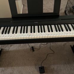 🎹Yamaha P-45 88-Key Weighted Digital Piano with Stand & Pedal