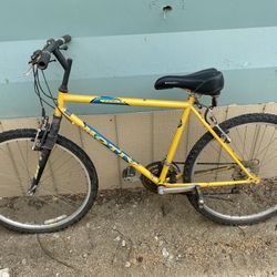 Bike 