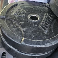 Troy 45lb Weight Plates