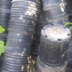 Pots $1 5 Galones 1 Galon .50 cents