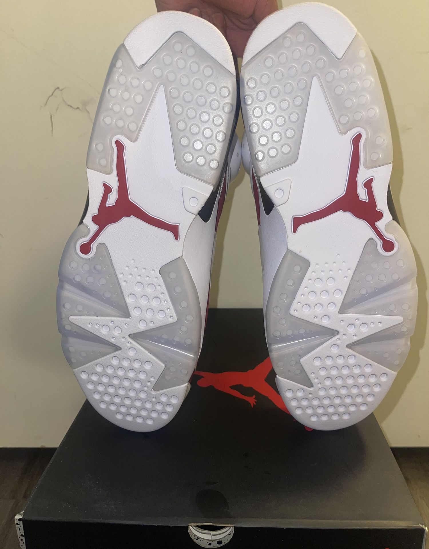 Air Jordan Carmine 6's