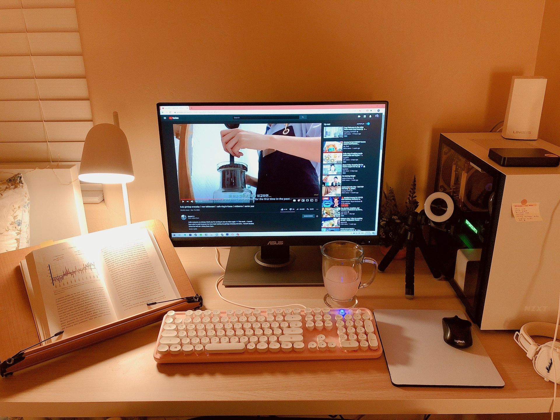 ASUS ProArt Display PA248QV 24.1” WUXGA MONITOR